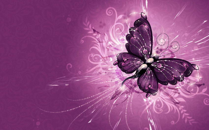 Butterflies Wallpapers