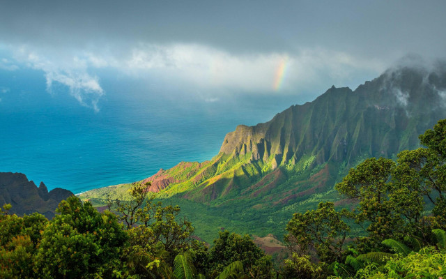 Hawaii Abstract Example Abstract - Wallpaper Flare - Free and Premium Stock Photos
